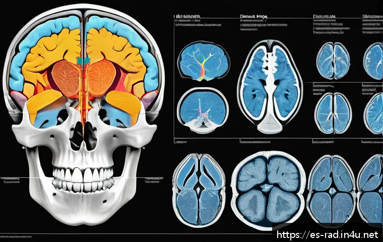MRI 검사 장단점 비교 관련 이미지 1